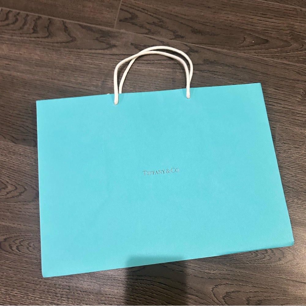 Tiffany & Co. Paper Shopping Bag